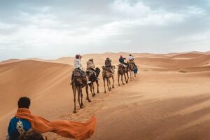 Balade en dromadaire